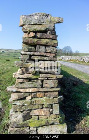 Neu gebaute Trockensteinmauer, Teil eines Zuschusssystems zur Wiederherstellung von Mauern auf Farmen im Vereinigten Königreich. North Yorkshire. Stockfoto