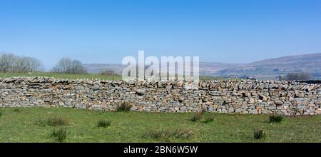 Neu gebaute Trockensteinmauer, Teil eines Zuschusssystems zur Wiederherstellung von Mauern auf Farmen im Vereinigten Königreich. North Yorkshire. Stockfoto
