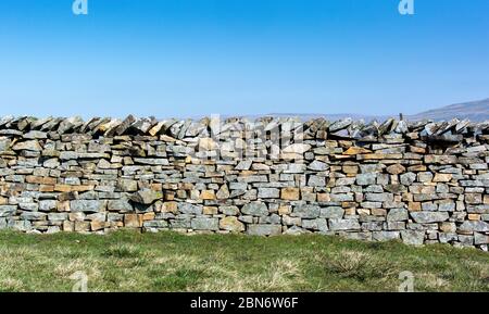 Neu gebaute Trockensteinmauer, Teil eines Zuschusssystems zur Wiederherstellung von Mauern auf Farmen im Vereinigten Königreich. North Yorkshire. Stockfoto