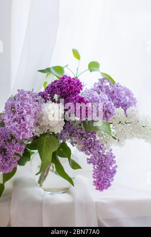 Ein Strauß frischer lila Blumen in Glasvase aus nächster Nähe. Lila blühende Strauß in Vase Stockfoto