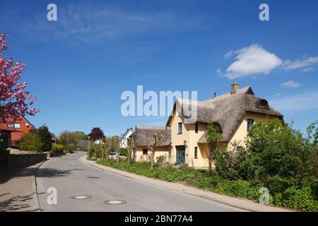 Reetgedeckte Wohnanlage, Dorfstraße, Fissau, Eutin, Schleswig-Holstein, Deutschland, Europa Stockfoto