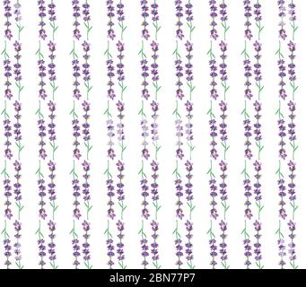 Nahtloses Muster aus violettem Lavendel. Duftender Lavendel. Wunderschöne violette Blüten. Oberflächengestaltung. realistische 3d-Darstellung. Stockfoto