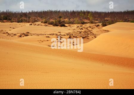 Dünen in der Nähe von Mui Ne. Vietnam Stockfoto