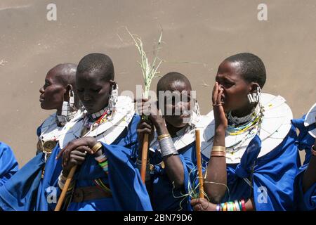 Eine Gruppe von Maasai Frauen in blauen Roben. Maasai ist eine ethnische Gruppe von halbnomadischen Menschen. Fotografiert in Tansania Stockfoto