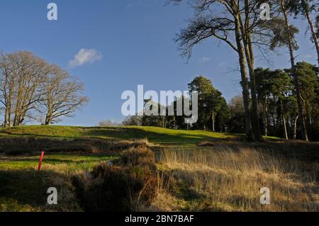 Blick über das Fescue Gras und den kleinen Graben bis zum 1st Green, Woking Golf Club, Woking, Surrey, England Stockfoto