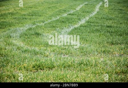 Radschilder auf dem Rasen, Details der Fahrzeugmarken Stockfoto