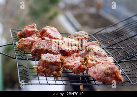 Rohes, mariniertes, saftiges Schweinefleisch in Grillrost. Frische Speisen zum Grillen. Sommer Kochen im Freien Stockfoto