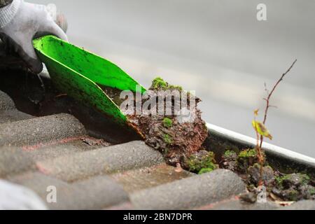 Reinigung einer Regenrinne mit Schaufel Stockfoto