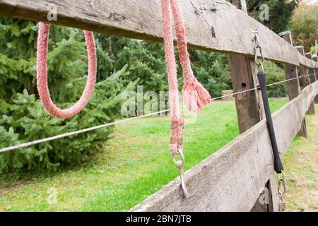 Pferde Halter auf dem Boden und Seil über den Zaun Stockfoto