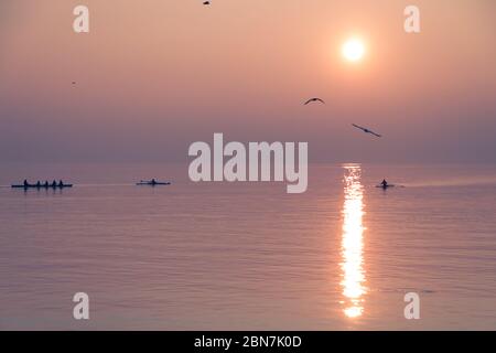 Möwen fliegen über Ruderteam Training über schimmerndem See bei Sonnenuntergang Stockfoto