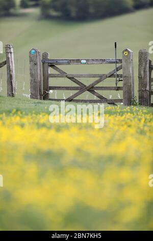 Eastbourne, Großbritannien. 13. April 2020 EIN Farmtor auf einem öffentlichen Fußweg im South Downs National Park in der Nähe von Cuckmere Haven. Quelle: James Boardman / Alamy Live News Stockfoto