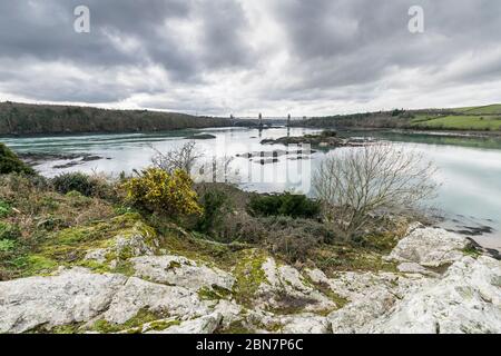 Church Island am Porthaethwy Anglesey in Nord Wales Blick auf Pont Brittania auf der Menai Straße vom St. Tysilio Kirchenkrieg Stockfoto