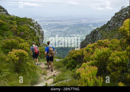 Devils Peak im Table Mountain National Park, Kapstadt, Südafrika bietet urbane Wanderwege wie diese Route über Mowbray Ridge bis Devil's Peak. Stockfoto