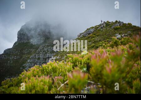 Devils Peak im Table Mountain National Park, Kapstadt, Südafrika bietet urbane Wanderwege wie diese Route über Mowbray Ridge bis Devil's Peak. Stockfoto