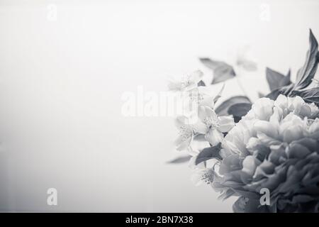 Frühlingsblumen Hintergrund in schwarz und weiß, mit Pfingstrose (paeonia) und Mock-Orange (philadelphus). BW Bouquet close up Tapete mit Kopie Raum auf l Stockfoto