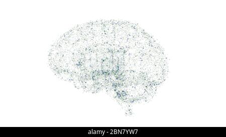 Kleine Punkte in Form des menschlichen Gehirns, isoliert auf weißem Hintergrund. 3D-Rendern Stockfoto