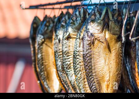Trocken geräucherte Makrele frischen Fisch in einem Fischmarkt Stockfoto