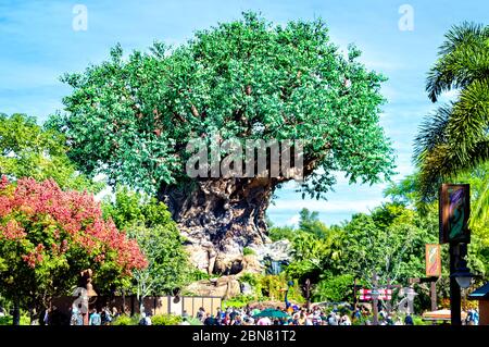 Pandora im Disney's Animal Kingdom Theme Park. Eine sehr immersive Welt, die auf der Welt Pandora von James Camerons Avatar basiert Stockfoto