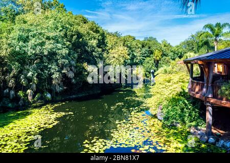 Pandora im Disney's Animal Kingdom Theme Park. Eine sehr immersive Welt, die auf der Welt Pandora von James Camerons Avatar basiert Stockfoto
