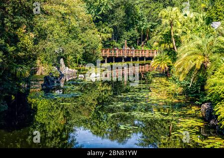 Pandora im Disney's Animal Kingdom Theme Park. Eine sehr immersive Welt, die auf der Welt Pandora von James Camerons Avatar basiert Stockfoto