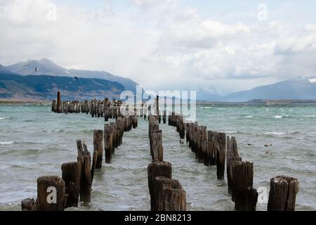 Holzpfosten von einem alten Pier, Puerto Natales, Patagonien, Chile, Cerro Monumento Moore im Hintergrund. Stockfoto