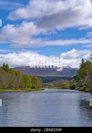 SPEYSIDE WAY FLUSS SPEY SCHOTTLAND BLICK AUF DEN FLUSS HINUNTER AUF SCHNEE BEDECKTE BEN RINNES IM FRÜHEN FRÜHJAHR Stockfoto