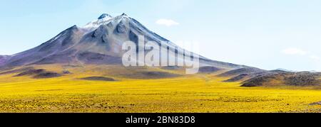 Panorama mit Schnee auf dem Miniques Vulkan und gelben Pflanzen im Vordergrund, präsentiert als Ölgemälde Stockfoto