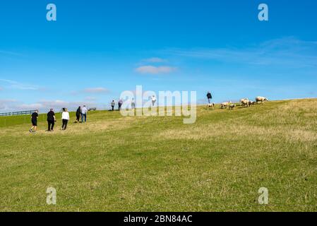 Touristen auf dem Deich bei Lüttmoorsiel, Reussenkoege, Schleswig-Holstein, Deutschland, Europa Stockfoto