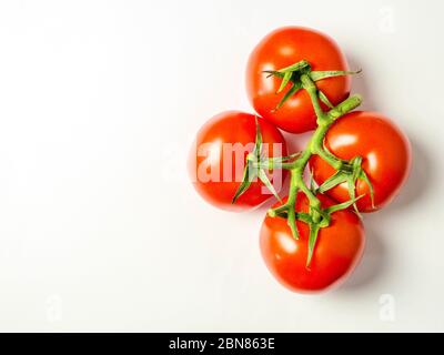 Vier reife rote Tomaten auf der Rebe isoliert auf weißem Hintergrund mit Kopierraum Stockfoto