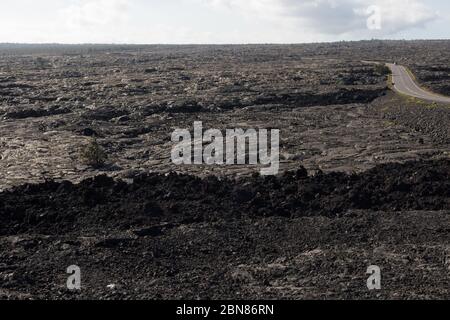 Alte Lava Felder, Hawaii Volcanoes Nationalpark, Hawaii Stockfoto