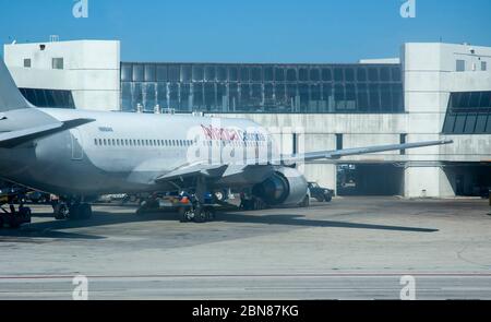 Avianca Airlines fliegt am Miami International Airport Stockfoto