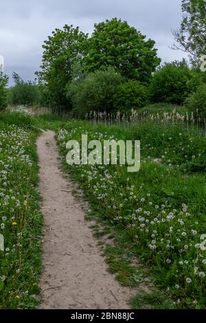 Der Thames Path ist ein nationaler Pfad, der der Themse von ihrer Quelle in der Nähe von Kemble in Gloucestershire bis zur Thames Barrier in Charlton London folgt Stockfoto