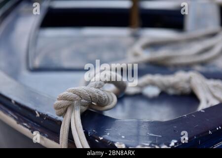 Seemann Knot, Amalfiküste, Italien Stockfoto