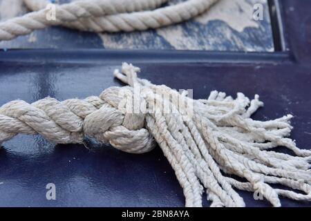 Seemann Knot, Amalfiküste, Italien Stockfoto