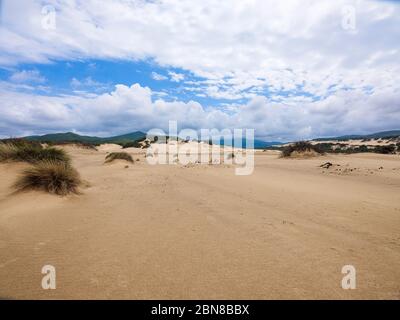Die wunderbare Oase Piscinas, mit imposanten und gewundenen Dünen von feinem, warmen goldenen Sand, als einer der schönsten in der Welt Stockfoto