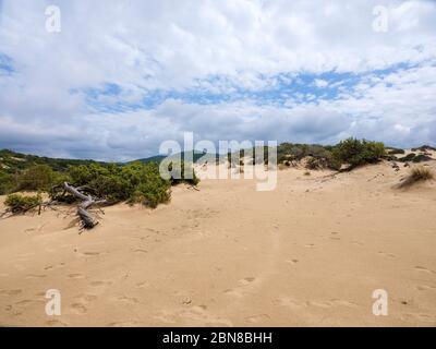 Die wunderbare Oase Piscinas, mit imposanten und gewundenen Dünen von feinem, warmen goldenen Sand, als einer der schönsten in der Welt Stockfoto