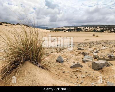 Die wunderbare Oase Piscinas, mit imposanten und gewundenen Dünen von feinem, warmen goldenen Sand, als einer der schönsten in der Welt Stockfoto