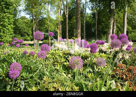 Traditioneller öffentlicher Garten, im Sommer blühend, in der Nähe von Kvaerndrup, im Süden der Insel Fünen, Dänemark. Stockfoto