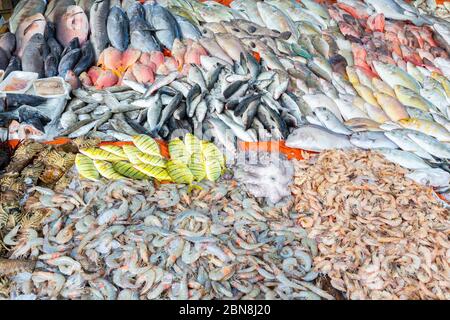 Haufen von vielen Salzwasserfischen auf dem Markt verkauft Stockfoto