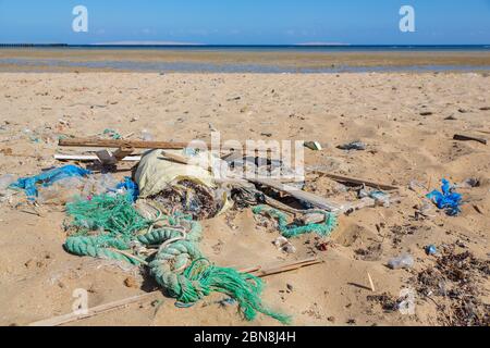 Müll am Strand in der Nähe des Roten Meeres in Ägypten Stockfoto