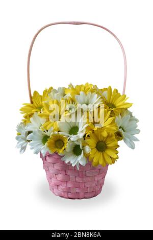 Gelbe und weiße Chrysanthemen in einem rosa Weidenkorb auf weißem Hintergrund Stockfoto