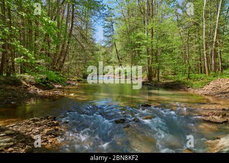 Small Rapids auf war Creek in Eastern Kentucky. Stockfoto