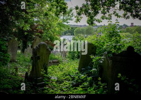 West Norwood, Großbritannien. Mai 2020. West Norwood Cemetery in South London, England. West Norwood Cemetery ist ein 40 Hektar großer ländlicher Friedhof in West Norwood in London, England. Es war auch bekannt als der South Metropolitan Cemetery. Der Friedhof enthält 52 Commonwealth-Kriegsgräber aus dem Zweiten Weltkrieg und 136 aus dem Ersten Weltkrieg (Foto von Sam Mellish / Alamy Live News) Stockfoto