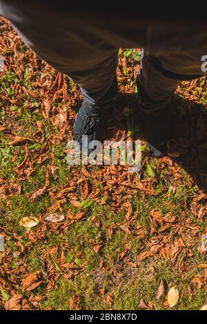 Die Beine des Mannes in schwarzen Turnschuhen auf grünem Gras mit roten rostigen Blättern Stockfoto