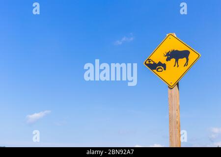 Schild Warnung Elch Gefahr, Gros Morne National Park, Neufundland und Labrador, Kanada Stockfoto