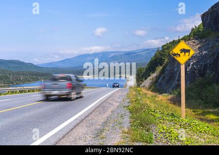 Schild Warnung Elch Gefahr, Gros Morne National Park, Neufundland und Labrador, Kanada Stockfoto