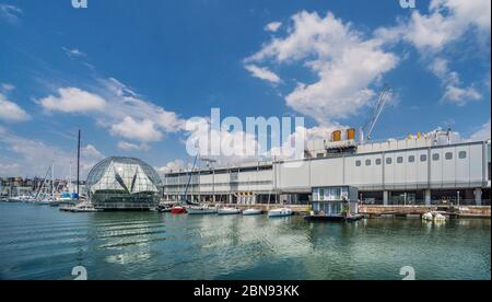 Aquarium von Genua im Alten Hafen von Genua, Ligurien, Italien Stockfoto