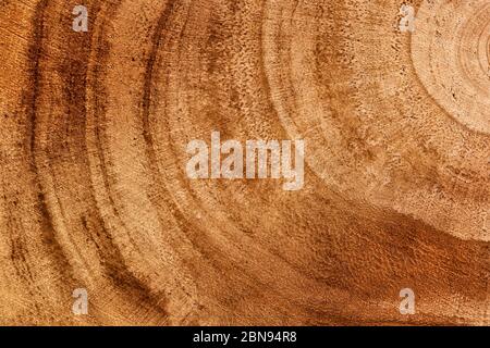 Holzstruktur von Schnittbaum Stamm oder Stumpf, Nahaufnahme. Grobe organische Baumringe. Hintergrund Holzstruktur. Baumstamm Querschnitt. Draufsicht, ma Stockfoto