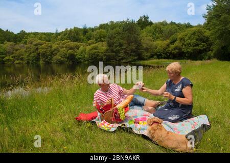 Ältere Paare picknicken in der Natur Stockfoto