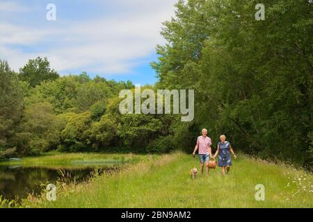 Ältere Paare tragen Korb für Picknick in der Natur Stockfoto